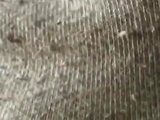 Smell My Stinky Socks, Directly From the Sneakerx, You Foot Sniffer!