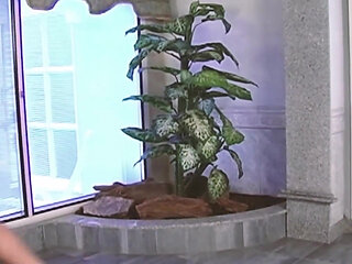 Jacuzzi Guys Scene-1_trio of Dirty Guys in the Jacuzzi End up Sharing Cumshots