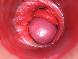 Inside a Camgirl Cervix POV Camera in Vagina with big dick toy