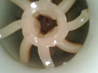 Internal fleshlight cum