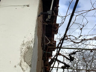 Perfect day for big tits