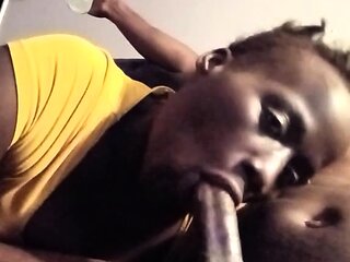 CIMA black and ebony