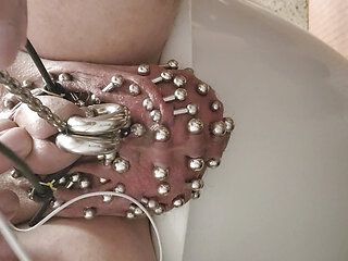 Showing of my 2x 00 gauge prince albert piercings ,heavily pierced scrotum estim play until I cum