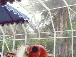Rainy Day Topless Poolside Workout! Would You Be My Personal Trainer?