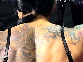 Anatomy Class: Biceps, Shoulders, and the Perfect Muscle Contraction Part 2