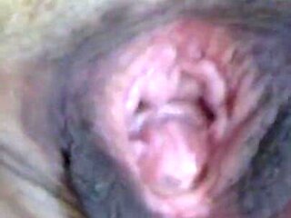 My Pussy Close up