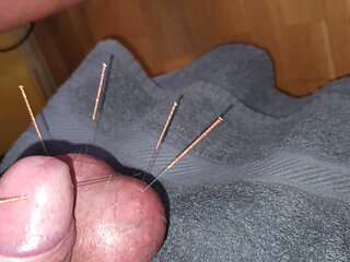 Needles in testicles and glans