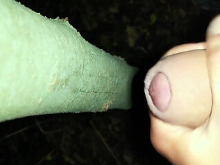 I Added My Cum on "cruising Cum Tree"