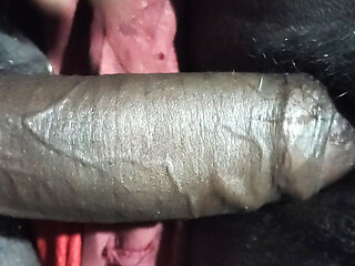 VID 20261027 164240.mp4 maine apne patni ki but thikai ki