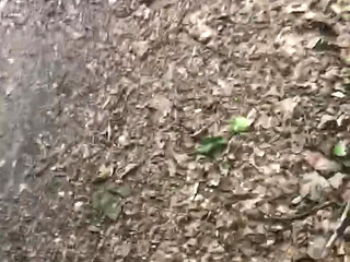 Ilikeitwhen cum tribute in the forest