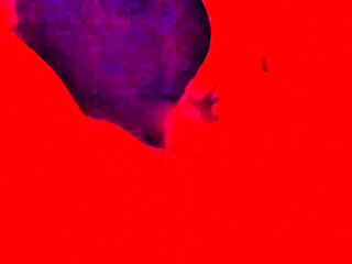 Male Dom throating his submissive slut. BBW Blowjob. Red Light Videos #27