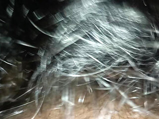 Mallu wife blow job at night