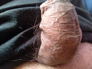 Gay dick wants  to be your sex toy