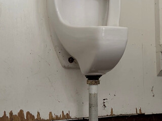 Urinal Play