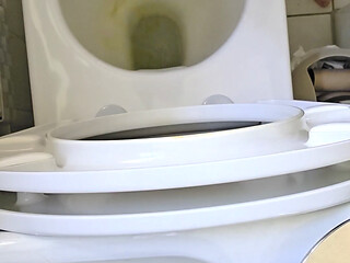 Toilet humiliation