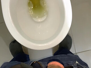 Toilet Jerk off at Work