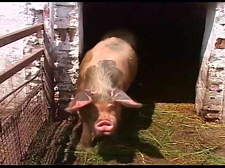 Vintage Blonde MILF Ravished in Barn and Outdoors