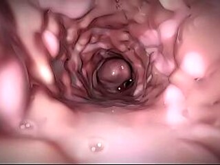Placed cam into girls pussy and cum incide