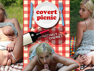 Covert Picnic