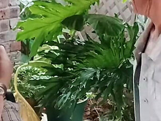 Gardening