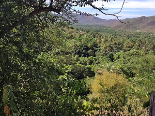 Latina Teen Gives a Blowjob in the Woods