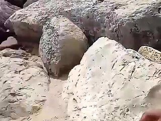 A Very Nice Day at the Beach