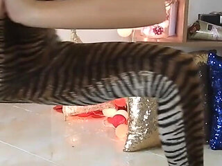 Splits Training Leopard Print Tease Day 3