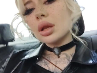 Let's Go to New Adventures