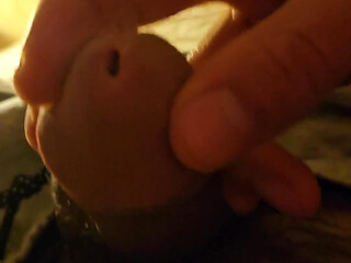 Cock Inspection