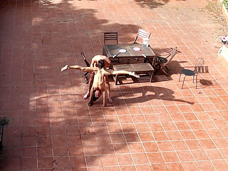 Couple Catched Fucking in the Courtyard