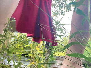 piss pee hana outside yard