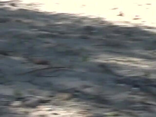 Young Rita River Side Casting