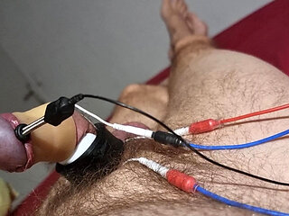 Et312 estim electrified acorn that runs away