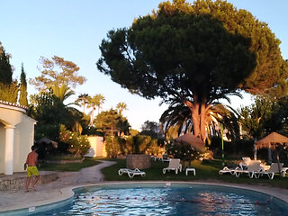 A Race Around the Pool