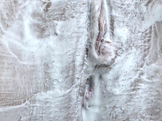 Extreme Closeup of Hairy Tight Pussy Shaving