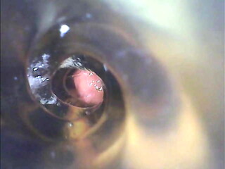 Inside view of me cumming inside toy