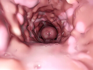 It's amazing to see the pussy from the inside while you're fucking it.