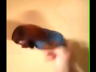 Little Ebony Doll getting thrown around by famous musician Radley Sanders