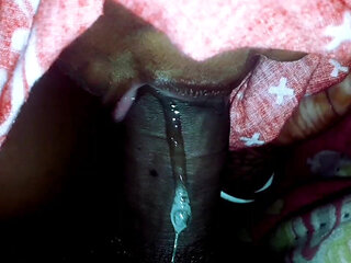 India Bengal Sex Video