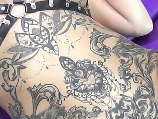 The Camilla experience