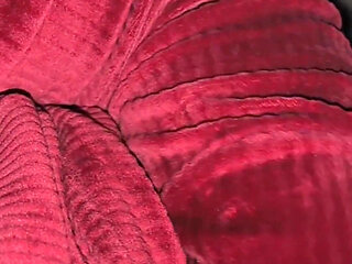 Married Muslim Hijabi Stepsister Fucked