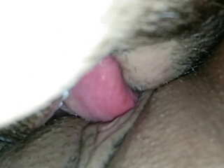 i suck sna pussy she really enjoyed