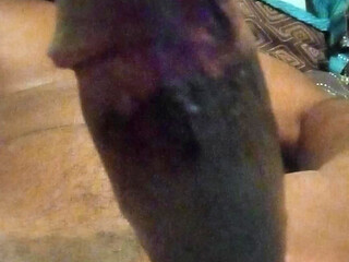 Big Brown Coco