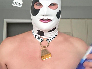 I am a hungry hungry HUCOW! Will you feed me?