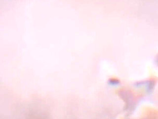 B024 Ntr Girlfriend and Her Transgender Bestie Help Her Ex-boyfriend Train