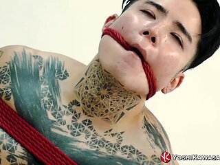 YOSHIKAWASAKIXXX - Bound Yoshi Kawasaki Enjoys Extreme Shibari Session