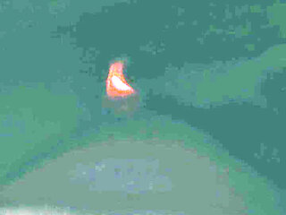 3795062077.mp4
