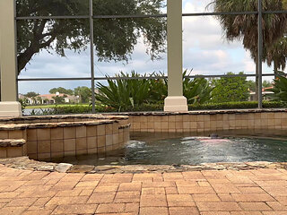 Just had to do a quick dip in the pool