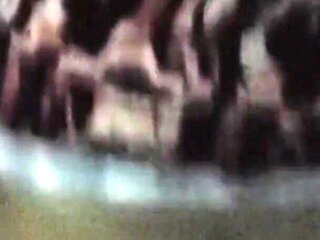 Round ass wife loves to ride thick cock