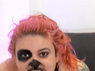 4K Angry Puppy Barking Rabidly Gasping Sniffing All the Room